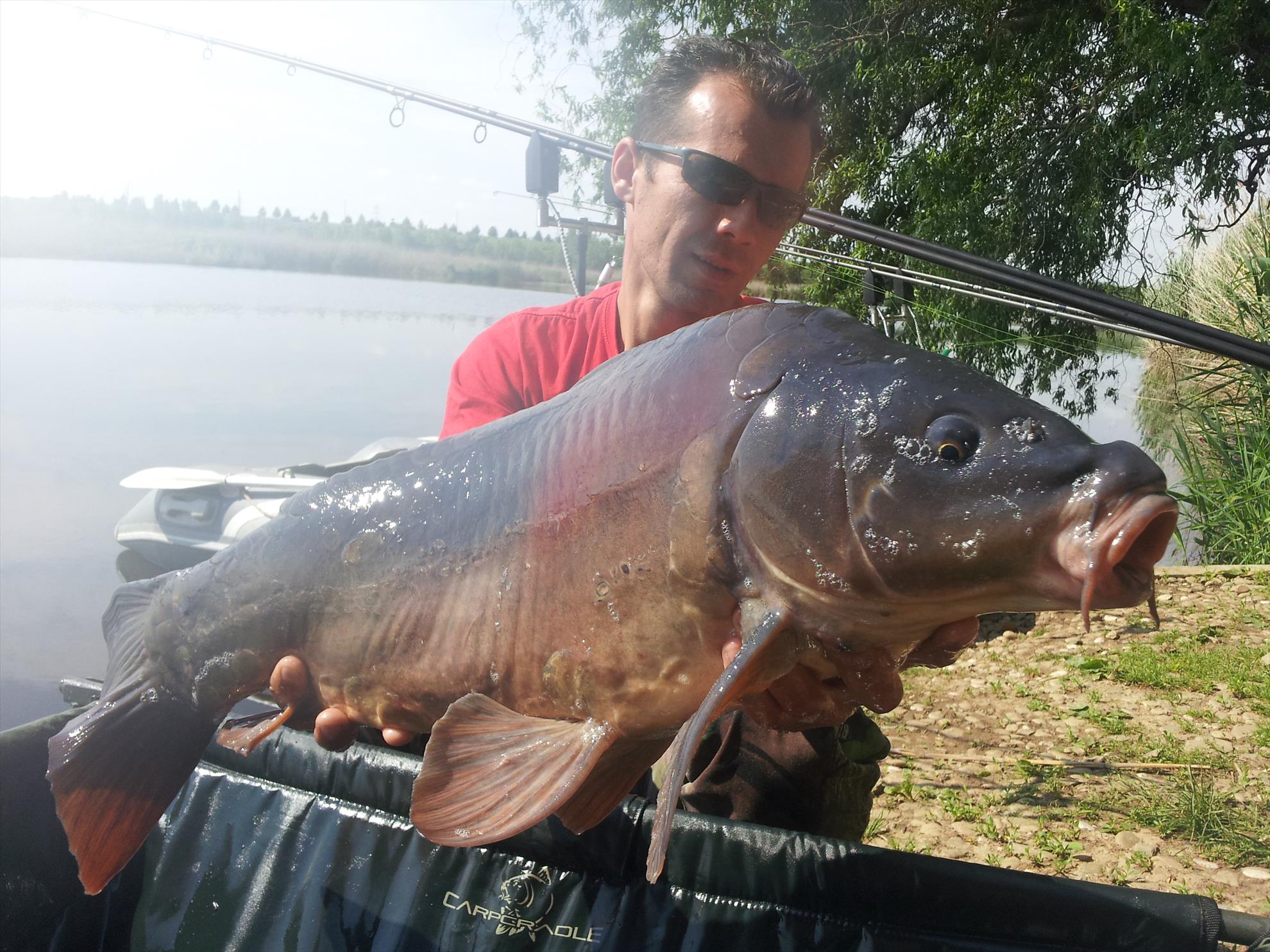 Tancabesti 1 - 4 iunie 2014 - 20150507101055.jpg